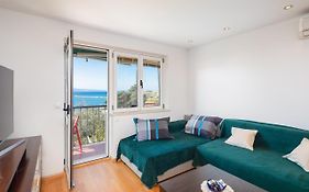 Sunny Vista Apartment